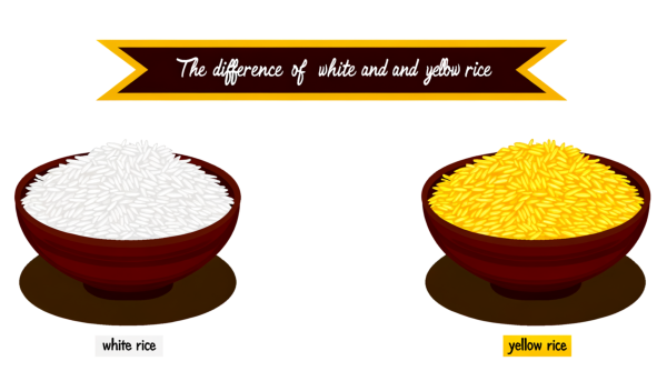 Comparing the Nutritional Benefits and Uses of White Rice and Yellow Rice