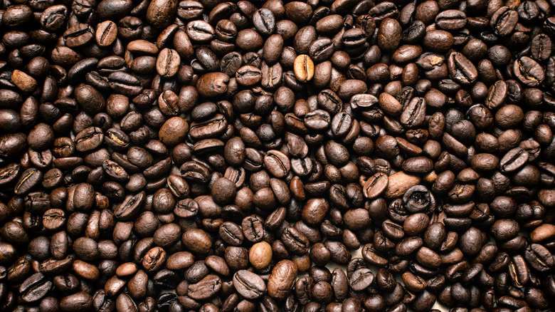   コーヒー豆