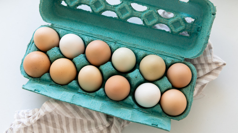  cartone di una dozzina di uova