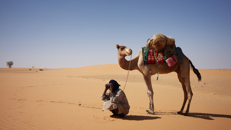  サハラ砂漠を旅する
