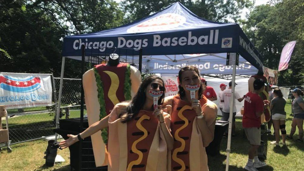 Base-ball des chiens de Chicago