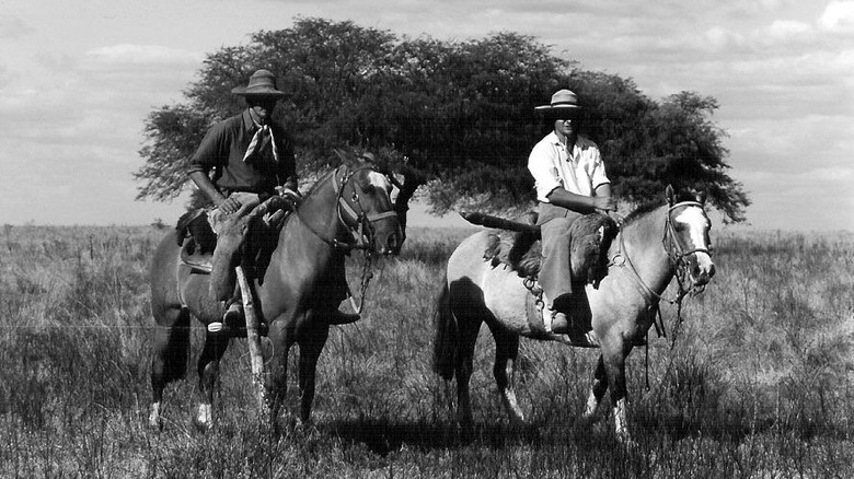   馬に乗ったブラジルの牧場主の白黒写真