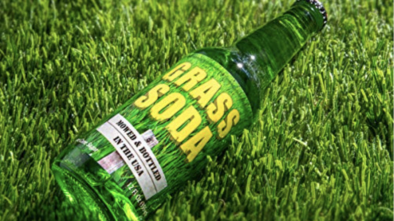   Botol soda rumput di rumput