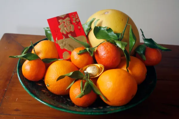 En skål med citrusfrukter med ett lyckligt kuvert och göt